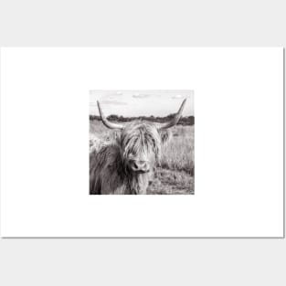 Highland Cow Posters and Art